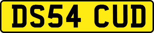 DS54CUD