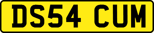 DS54CUM