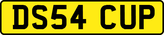 DS54CUP