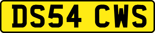 DS54CWS
