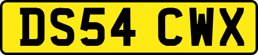 DS54CWX