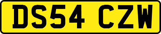 DS54CZW
