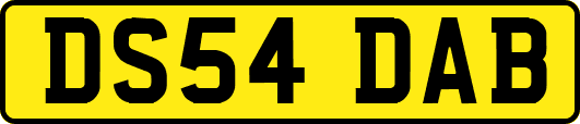 DS54DAB