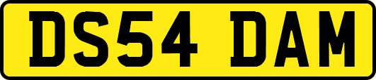 DS54DAM
