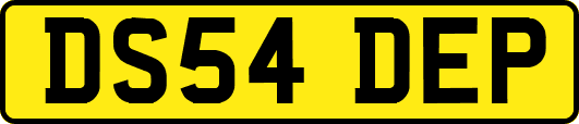 DS54DEP