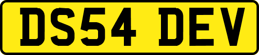 DS54DEV