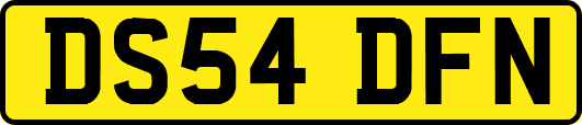 DS54DFN