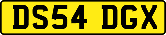 DS54DGX