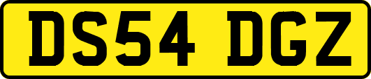DS54DGZ