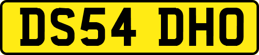 DS54DHO