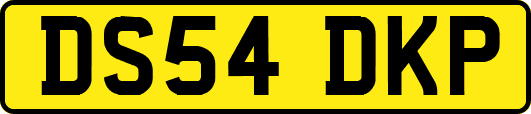 DS54DKP