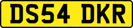 DS54DKR