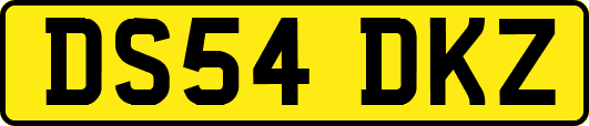 DS54DKZ