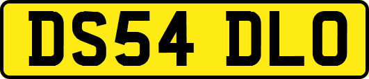 DS54DLO