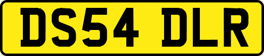 DS54DLR