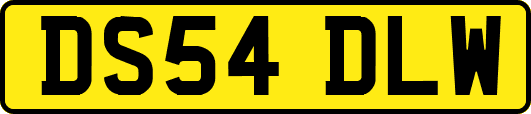DS54DLW
