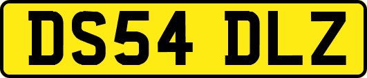 DS54DLZ