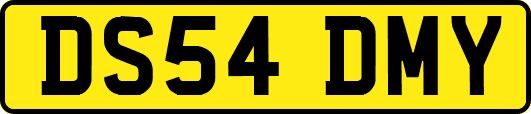 DS54DMY