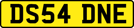 DS54DNE