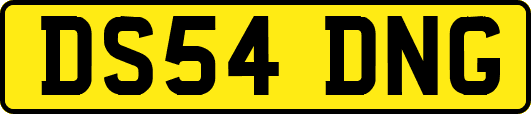 DS54DNG