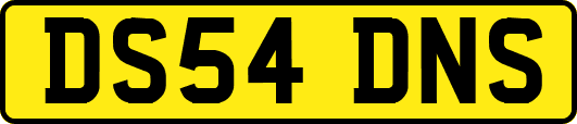 DS54DNS