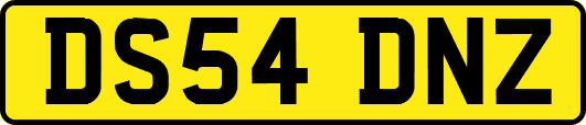 DS54DNZ
