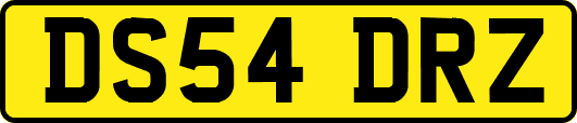 DS54DRZ