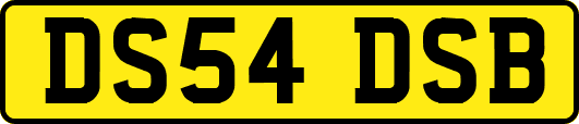 DS54DSB