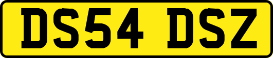 DS54DSZ