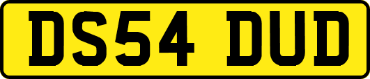 DS54DUD