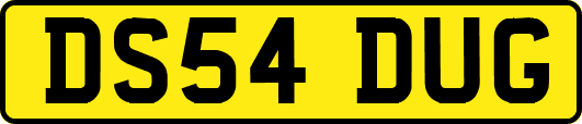 DS54DUG