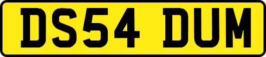 DS54DUM