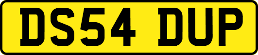 DS54DUP