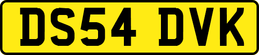 DS54DVK