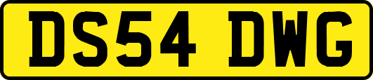 DS54DWG