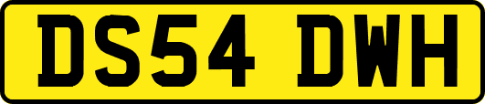 DS54DWH