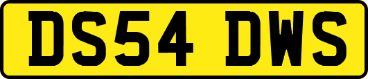 DS54DWS