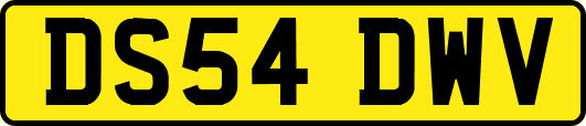 DS54DWV