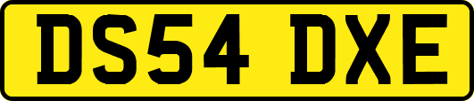DS54DXE