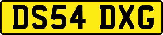 DS54DXG