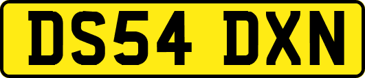 DS54DXN