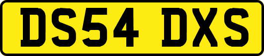 DS54DXS
