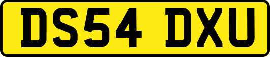 DS54DXU