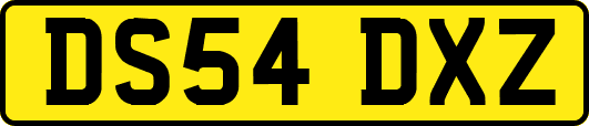 DS54DXZ