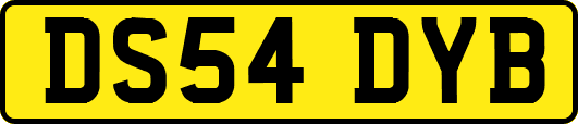 DS54DYB