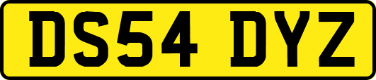 DS54DYZ