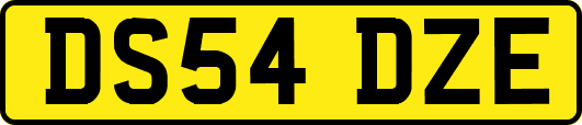DS54DZE