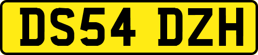 DS54DZH
