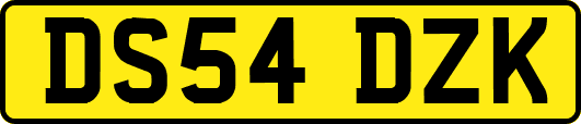 DS54DZK