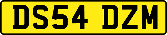 DS54DZM